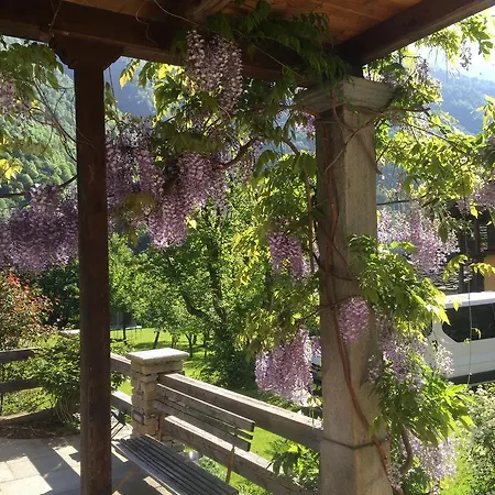Tre Alberi Liberi