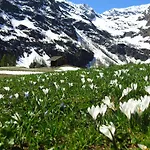 Oda ve Kahvaltı Tre Alberi Liberi