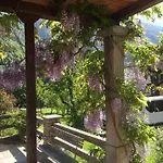 Tre Alberi Liberi