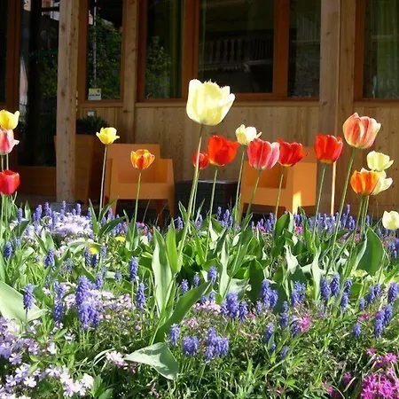 Tre Alberi Liberi Alagna