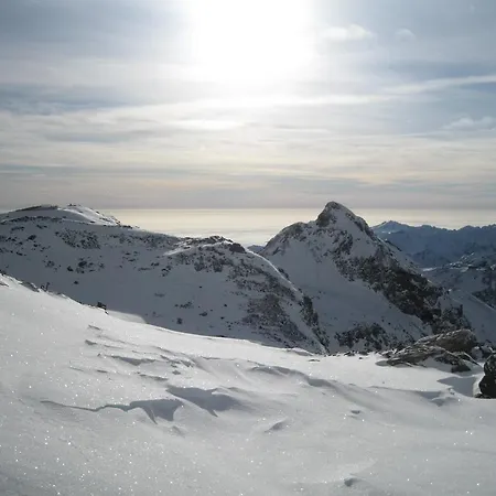 Bed & Breakfast Tre Alberi Liberi Alagna