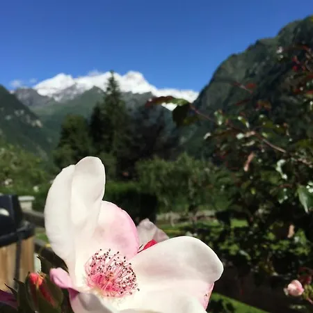 فندق مبيت وإفطار Tre Alberi Liberi