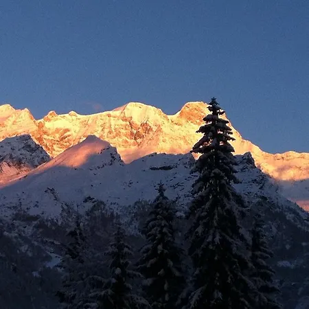 Tre Alberi Liberi Bed & Breakfast Alagna