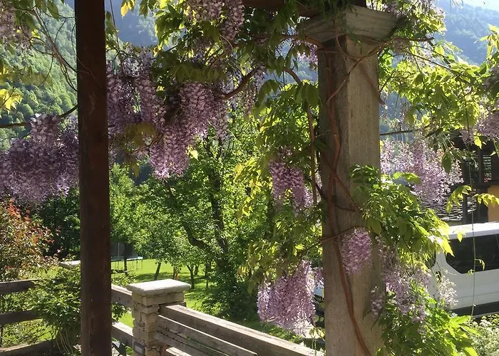 Tre Alberi Liberi