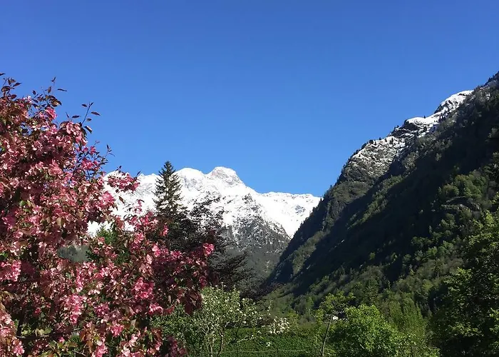 Tre Alberi Liberi Alagna Valsesia